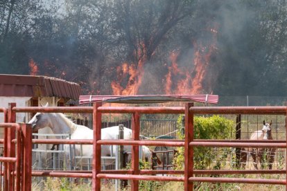 Incendio en Navatejera (León)