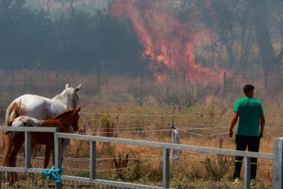 Incendio en Navatejera (León)