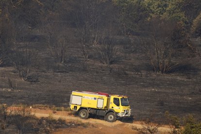 Incendio en las localidades de Turienzo Castañero y San Pedro Castañero (León)