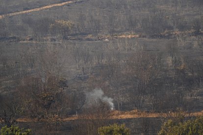 Incendio en las localidades de Turienzo Castañero y San Pedro Castañero (León)