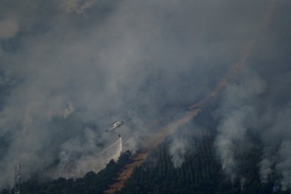 Incendio en las localidades de Turienzo Castañero y San Pedro Castañero (León)
