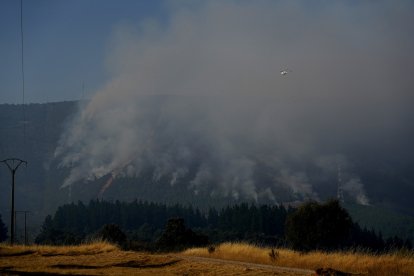 Incendio en las localidades de Turienzo Castañero y San Pedro Castañero (León)