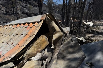 Incendio de Burgohondo en Ávila