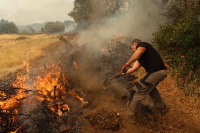Incendio en la provincia de Ávila
