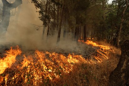 Incendio en la provincia de Ávila