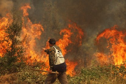 Incendio en la provincia de Ávila