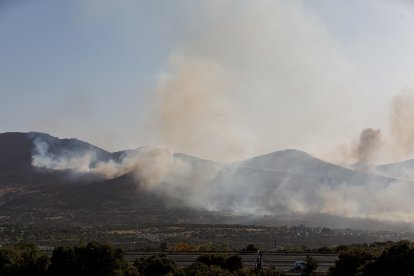 Zona del incendio de Navas de San Antonio.