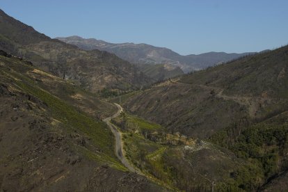 Un año después del incendio que asoló la localidad de Lusio (León).