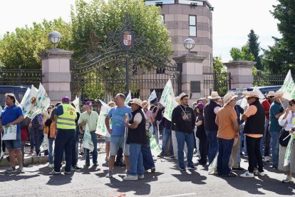 Momento en el que las organizaciones de agricultores protestaban por la actual situación del cereal.