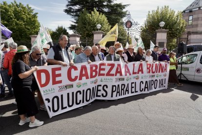 Momento en el que las organizaciones de agricultores protestaban por la actual situación del cereal.
