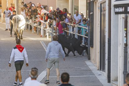 Cuarto de los encierros de las fiestas de Cuéllar 2026
