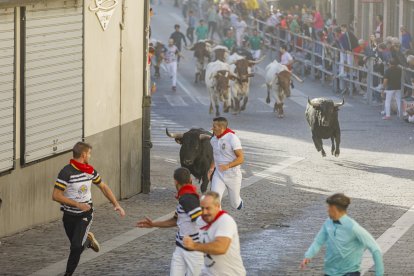 Cuarto de los encierros de las fiestas de Cuéllar 2026