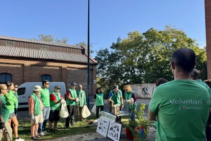 Voluntarios de Iberdrola en Castilla y León se movilizan esta Semana Internacional del Voluntariado.