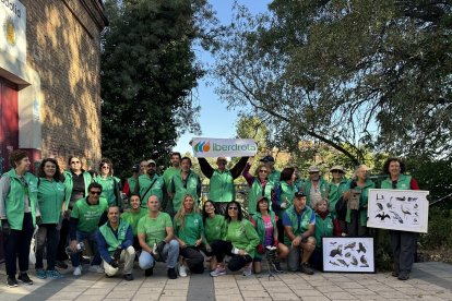 Voluntarios de Iberdrola en Castilla y León se movilizan esta Semana Internacional del Voluntariado.