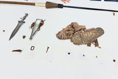 Material descubierto en La Peña del Castro en La Ercina