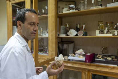 Museo de historia natural del IES Fray Luis de León en Salamanca.