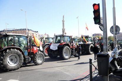 El consejero de Agricultura, Ganadería, Medio Rural y Política Ambiental, Joaquín Antonio Pino en las movilizaciones agrarias en Madrid
