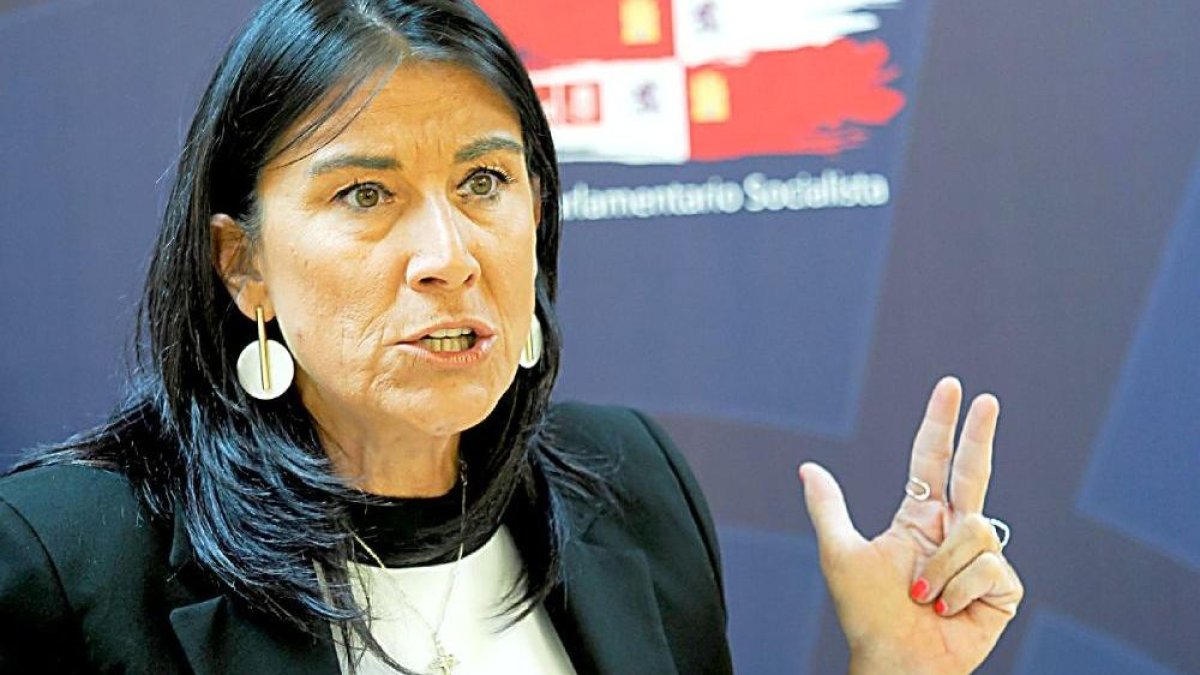 La secretaria de Organización del PSOE de Castilla y León, Ana Sánchez. ICAL