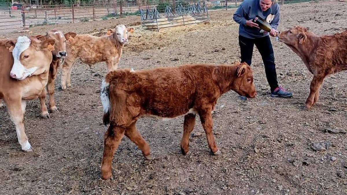 Estrella cambió la carrera de Administración de Empresas por el campo. ECB