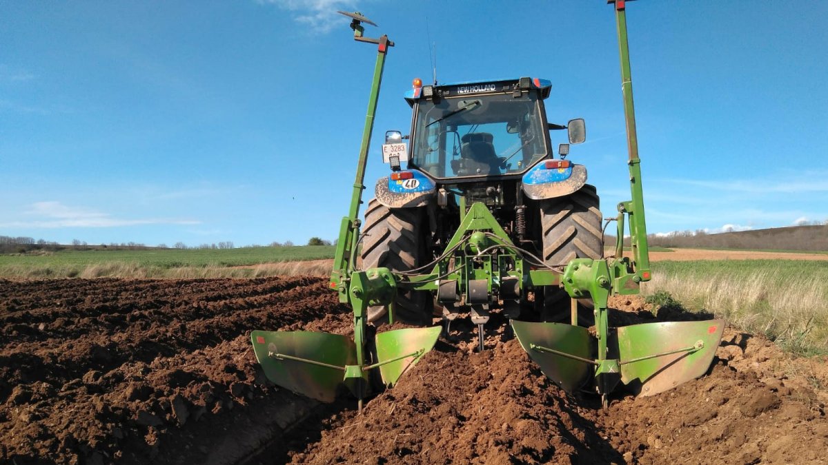 Un agricultor trabaja con el tractor la tierra en la que se siembra la patata.- ECB