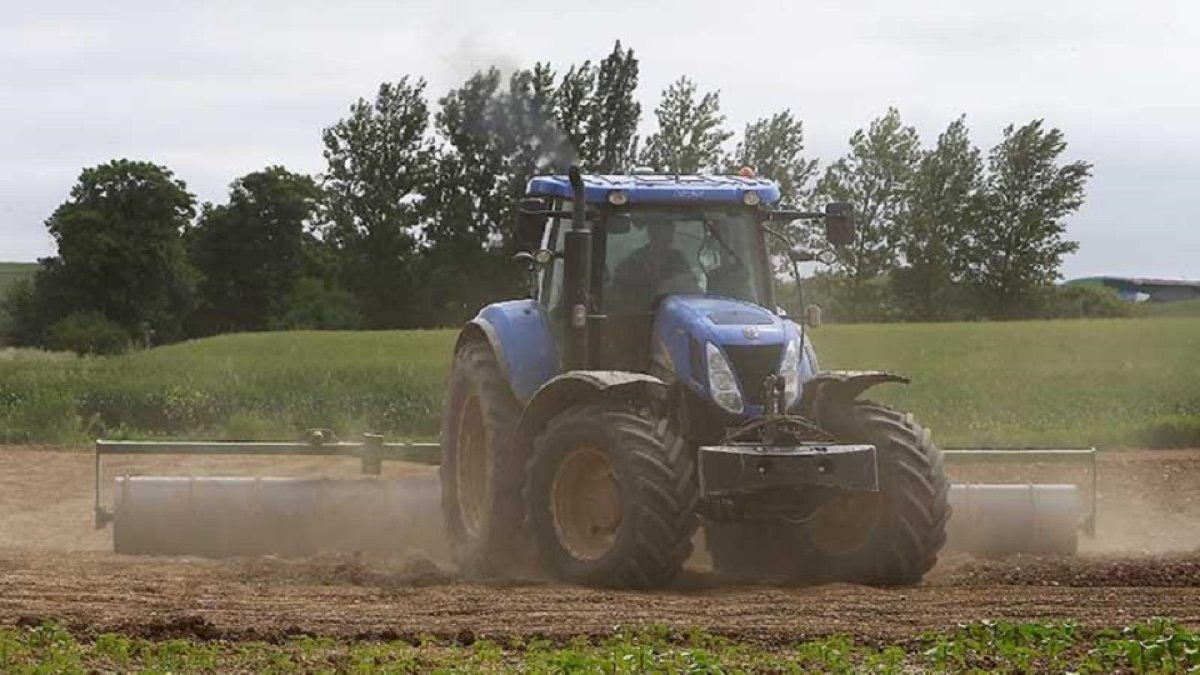 Un agricultor trabaja en el campo de cultivo con un tractor agrícola. / ECB