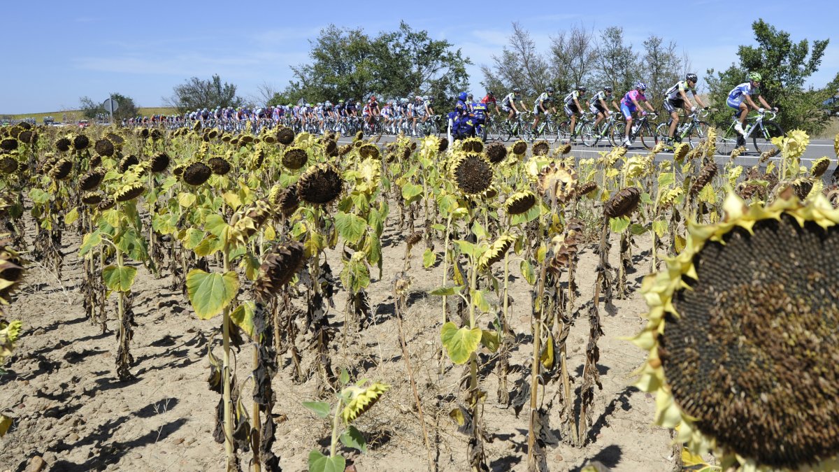 The rider in the peloton over the road that runs between Villa Romana La Olmeda (Palencia)-Haro in the167-kilometer 127-mile) 16th stage of the Spanish Vuelta cycling race that finished in Roa, Spain Tuesday Sept, 6 2011. (AP Photo/I.Lopez)