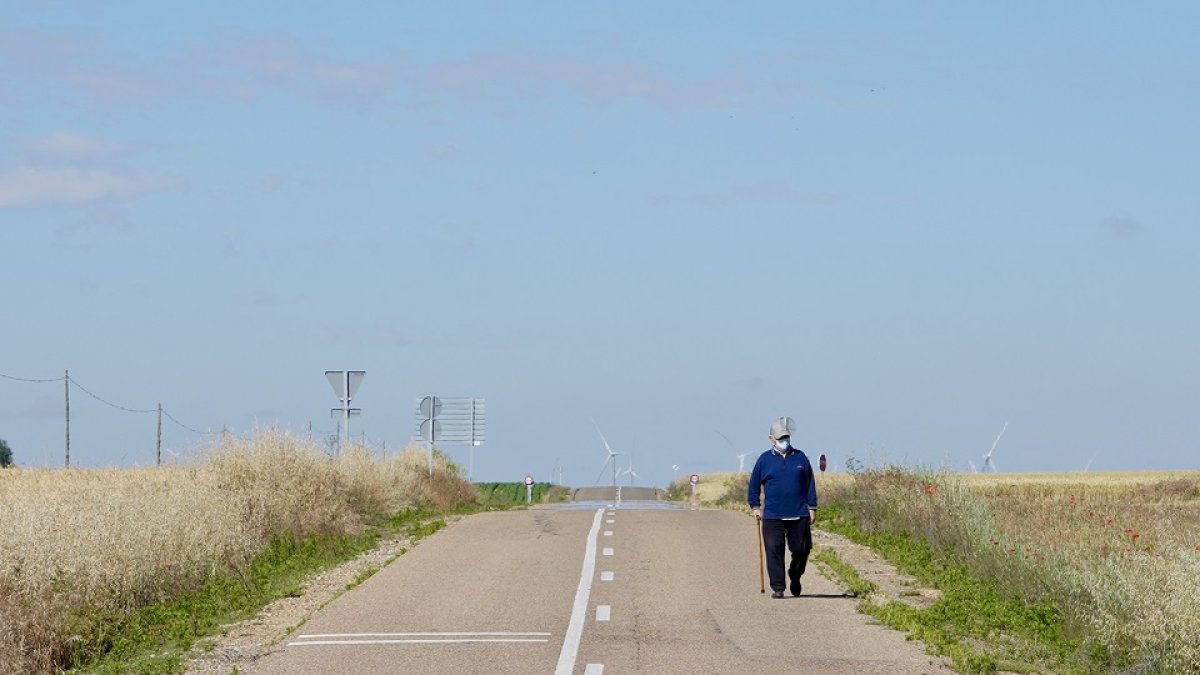 Una persona mayor pasea por una zona rural de Castilla y León.- ICAL