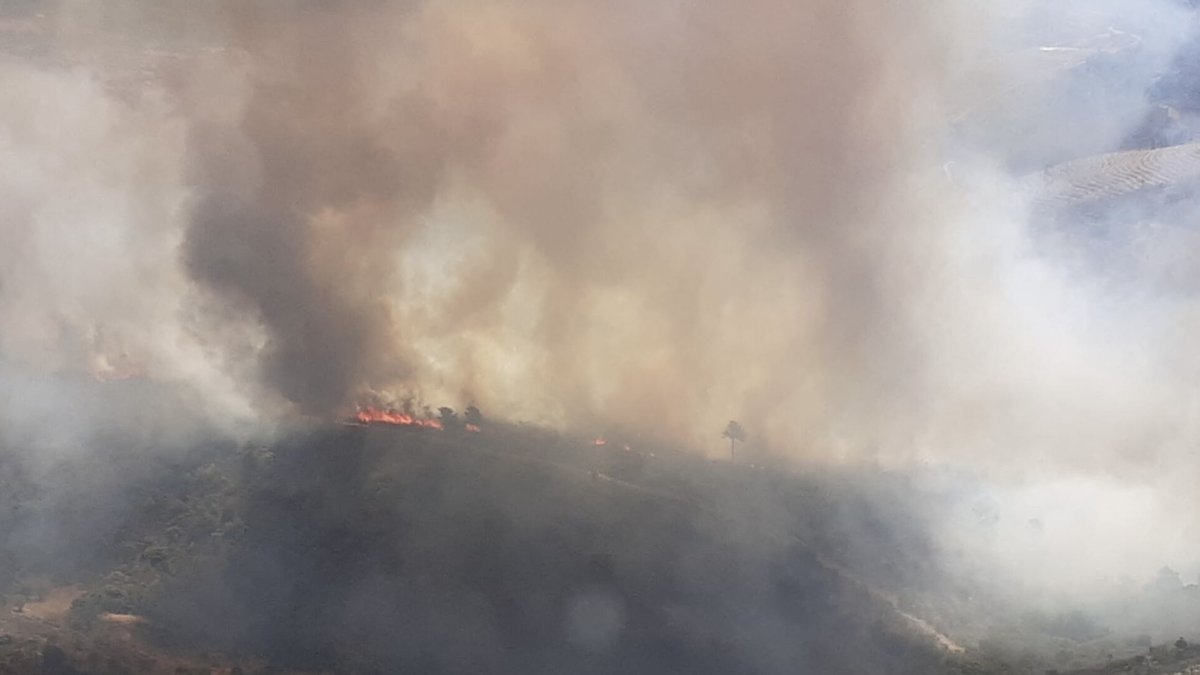 La Junta colabora en la extinción de un incendio en Argozelo (Portugal) con ocho medios aéreos.- ICAL