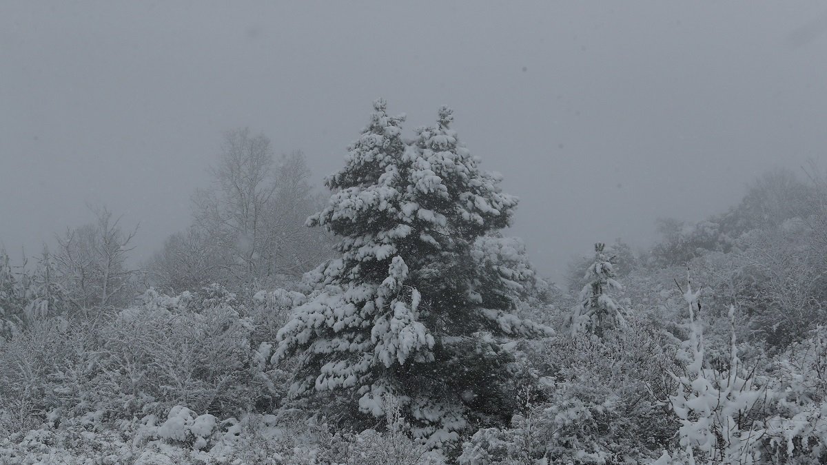 Temporal de nieve en el Bierzo.- ICAL