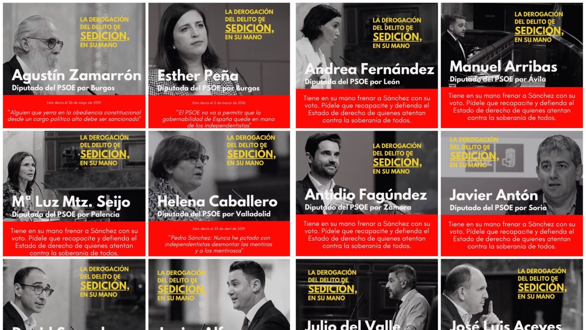 Los 12 diputados del PSOE de Castilla y León a los que alude el PP. PPCyL