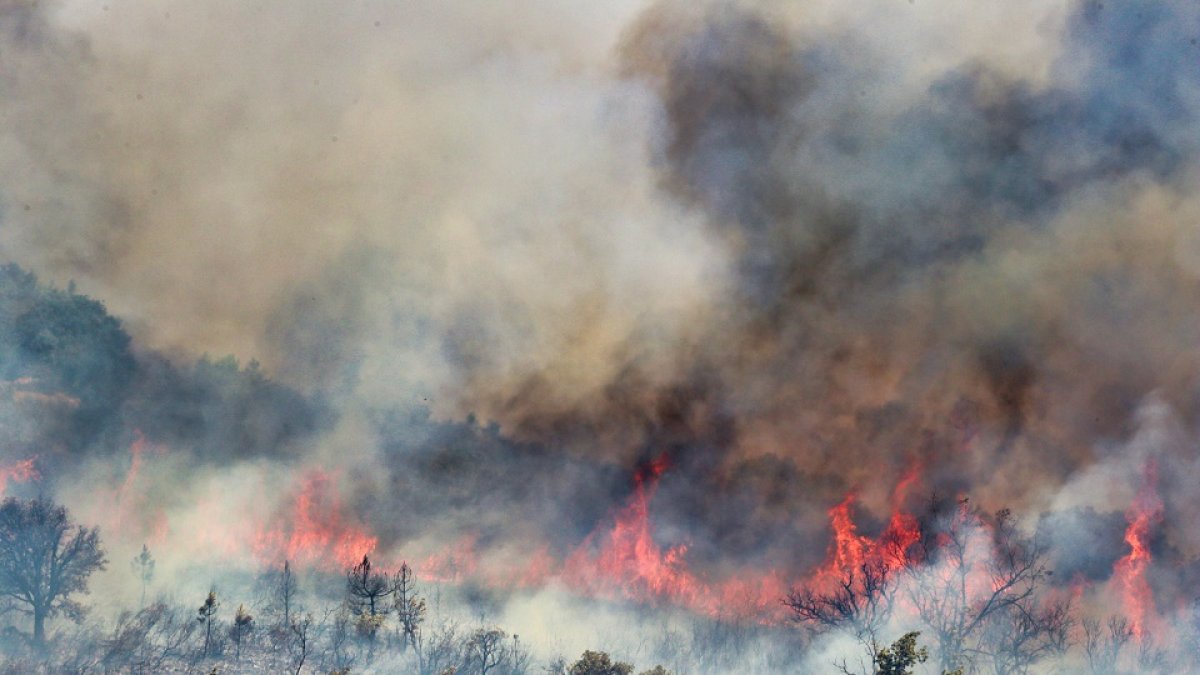 Incendio en Losacio. - ICAL