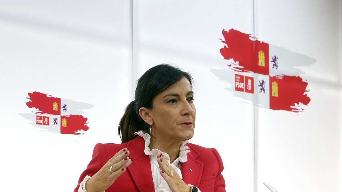 La secretaria de Organización del PSOE en Castilla y León, Ana Sánchez. - ICAL