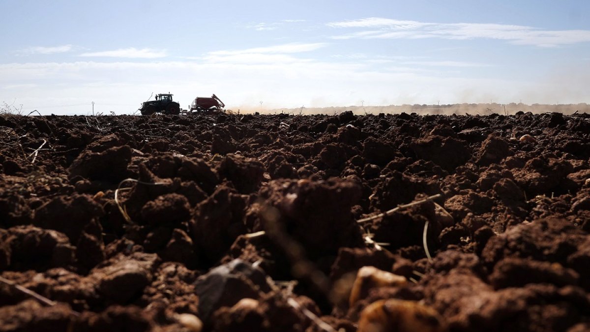 Arado y acondicionamiento de terreno en una explotación agrícola de la provincia de Salamanca. - Enrique Carrascal