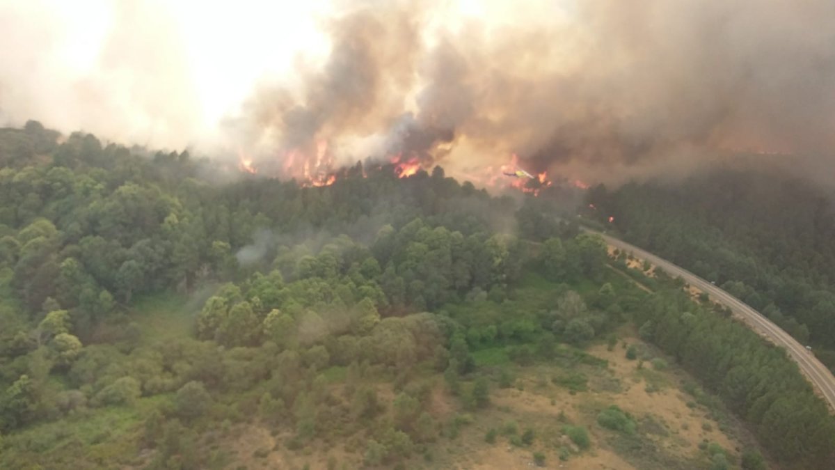 Incendio en Sierra de la Culebra (Zamora).- ICAL