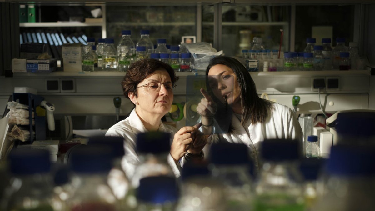 Mercedes Dosil (a la izquierda) y una investigadora de su equipo en las instalaciones del Centro del Cáncer de Salamanca. | ENRIQUE CARRASCAL