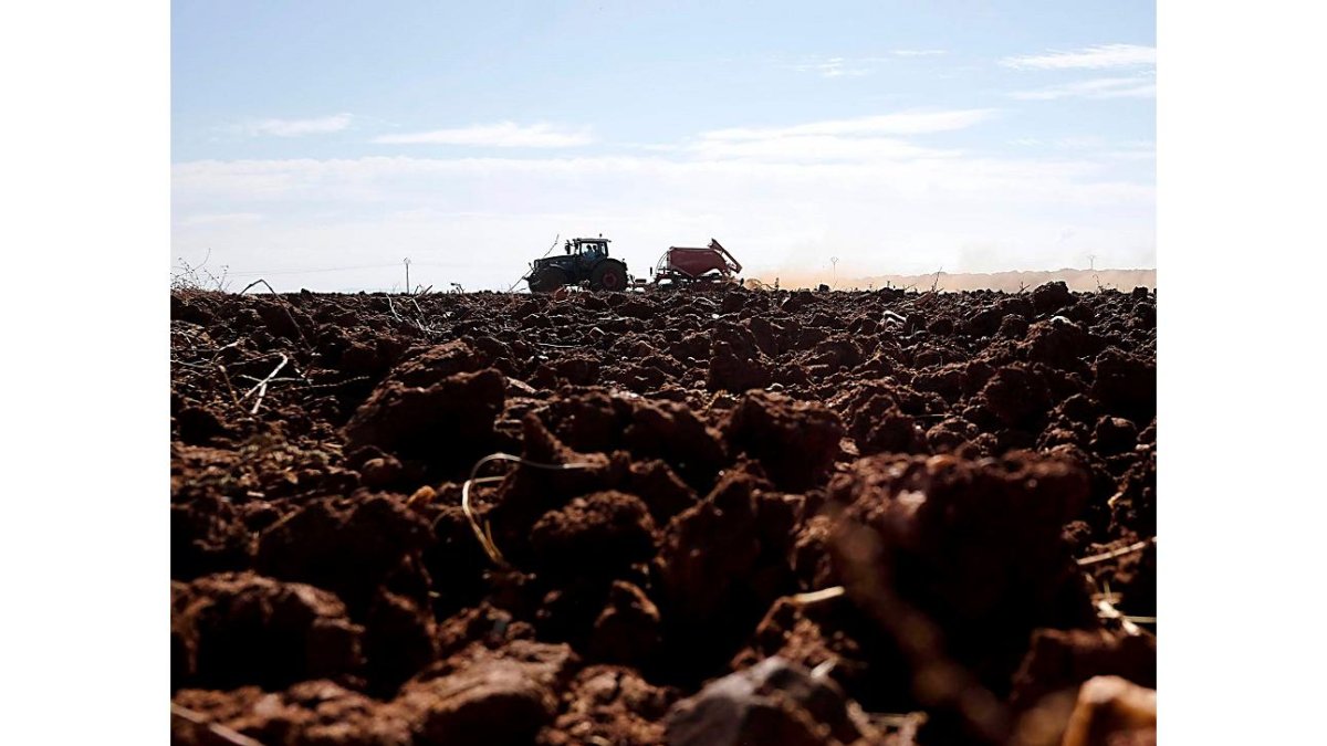 Un tractor prepara la tierra para una nueva campaña en una explotación agrícola de Salamanca. - ENRIQUE CARRASCAL