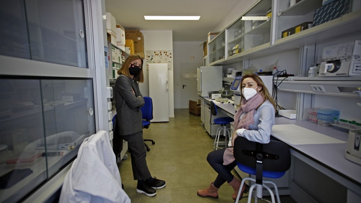 Zoraida Verde y Ana Fernández-Araque, en el laboratorio de Ciencias de la Salud  del Campus de la UVa en Soria. | MARIO TEJEDOR