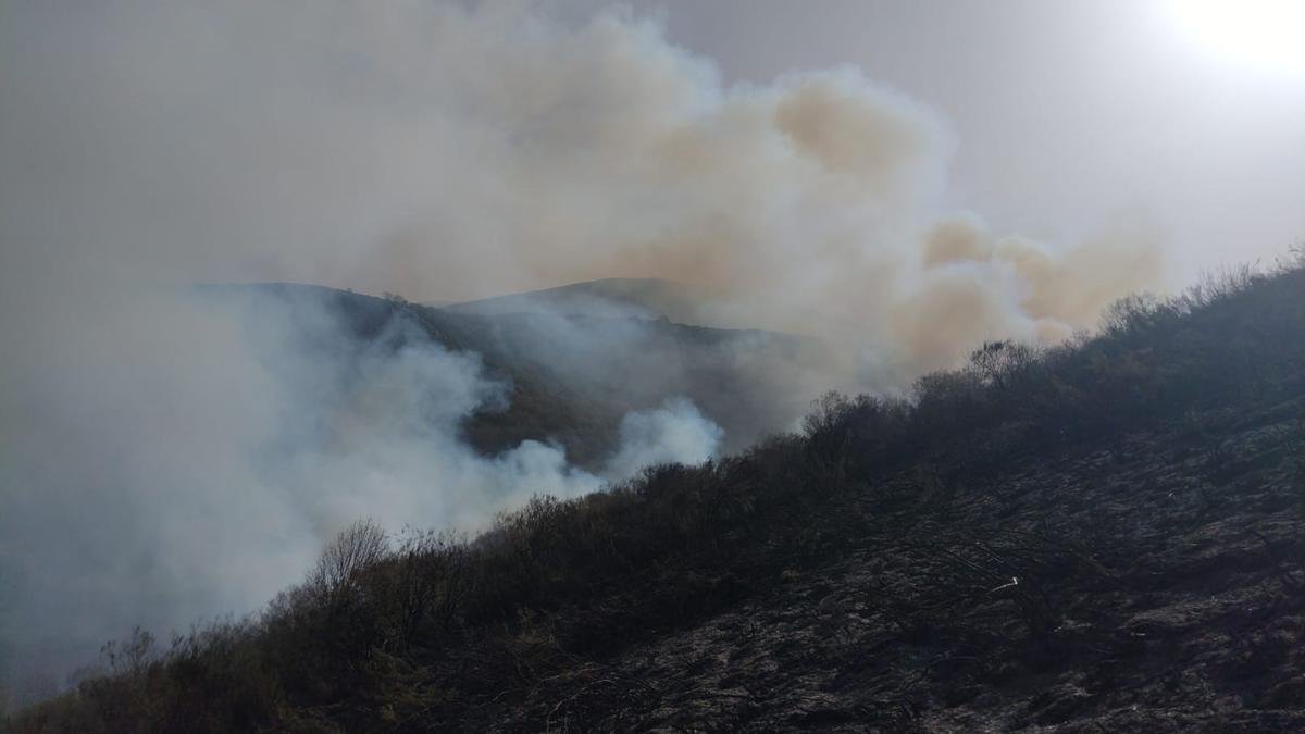 Incendio forestal en Tonín de Arbás. -TWITTER INFOCYL