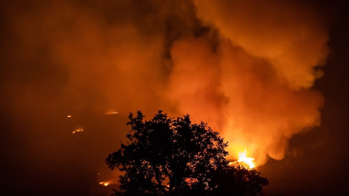 Incendio forestal de Monsagro en el término municipal de Tenebrón en Salamanca. - ICAL