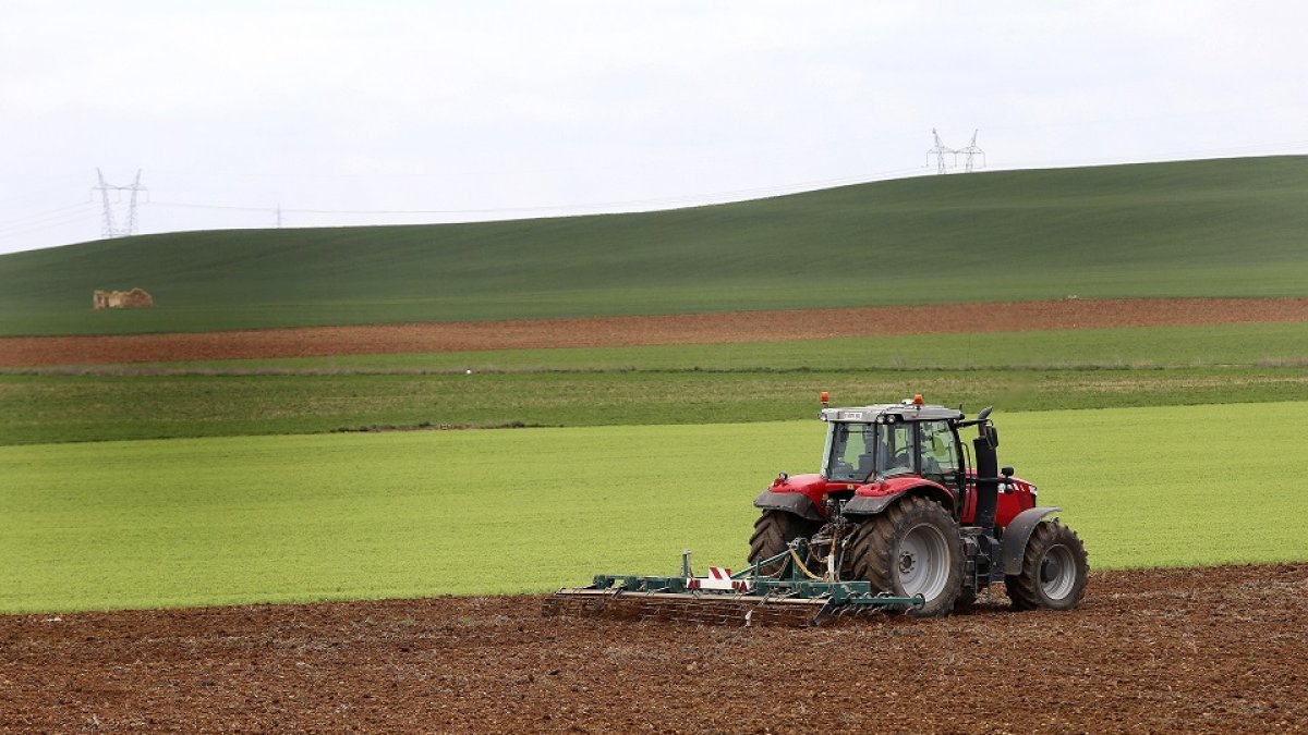 Un agricultor pasa el cultivador enganchado a su tractor en una finca de la localidad de Torquemada, en la provincia de Palencia. / Brágimo