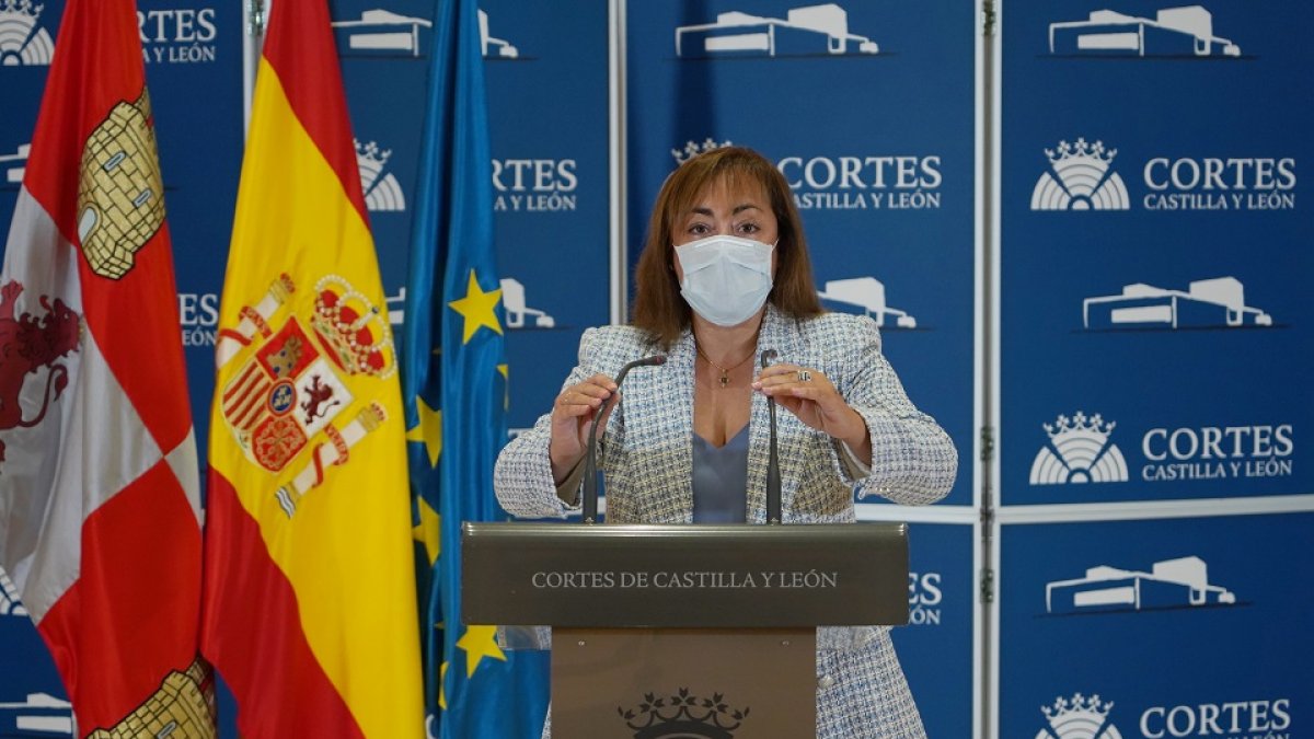 La procuradora de Ciudadanos por Zamora, María Teresa Gago. -ICAL