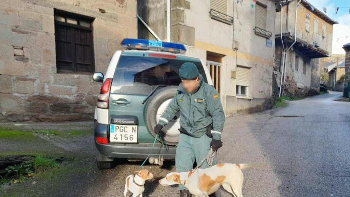 Una patrulla del Seprona rescata a dos perros abandonados sin agua ni comida en el interior de una vivienda de Tremor de Arriba (León). -ICAL