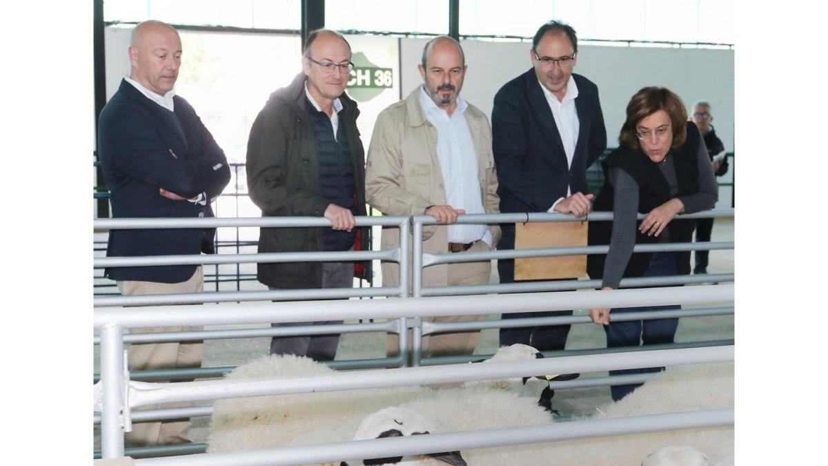 Pedro Rollán visita junto a Alfonso Polanco y Ángeles Armisén el mercado de raza churra de Palencia.- ICAL