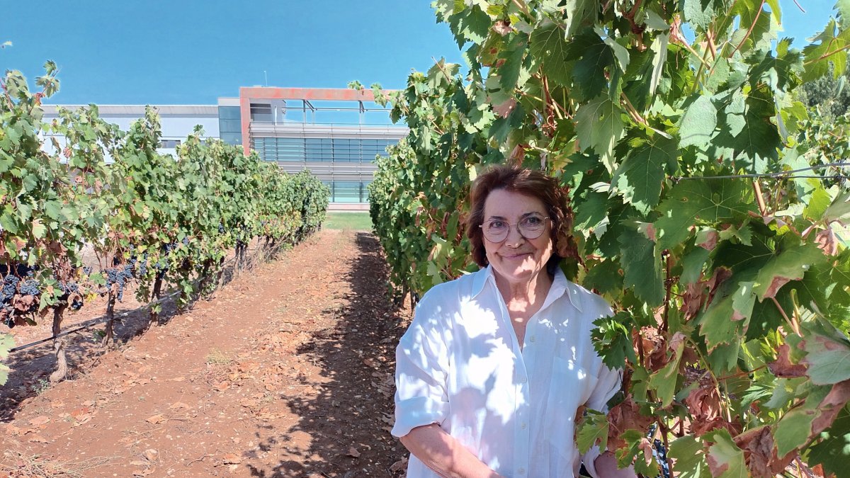 Josita Martín Berdugo tiene 87 hectáreas de viñedo en Aranda de Duero. ECB