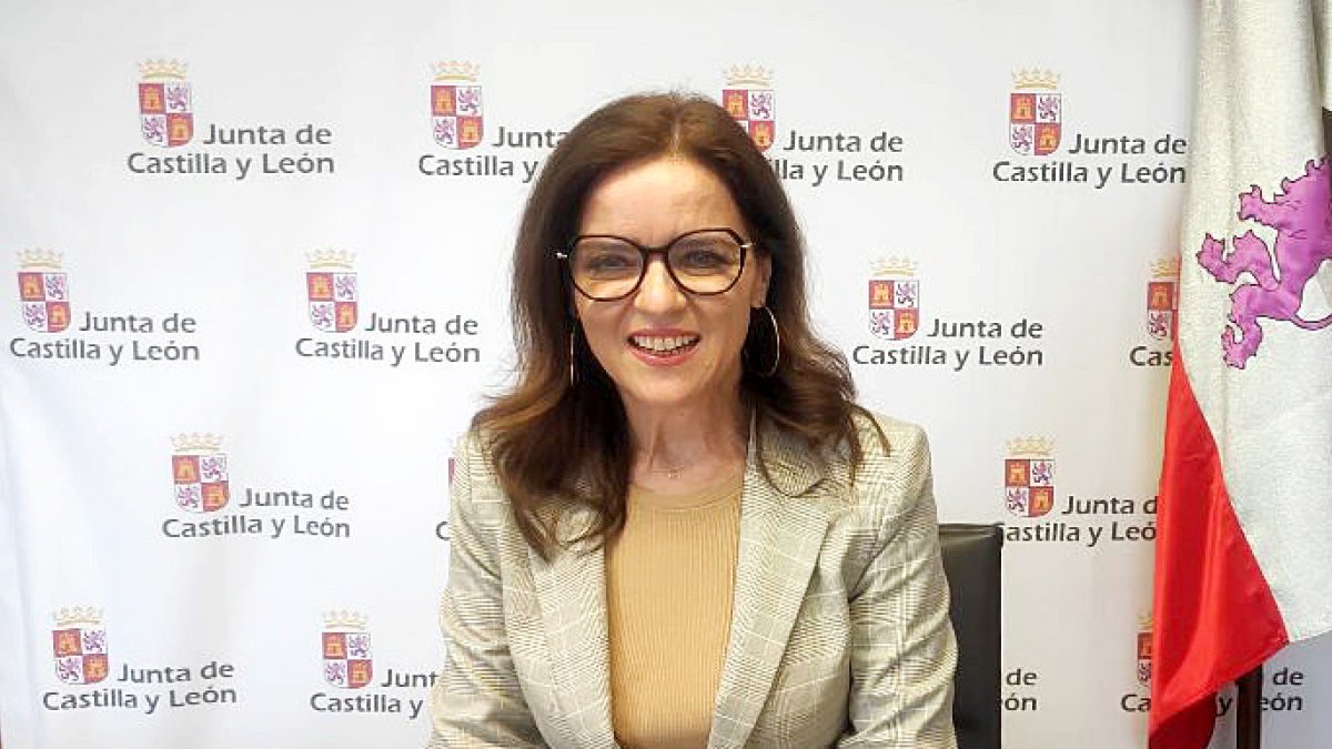 La consejera de Empleo e Industria, Ana Carlota Amigo, mantiene una reunión telemática de coordinación con los responsables del proyecto de prospección laboral en León.- ICAL