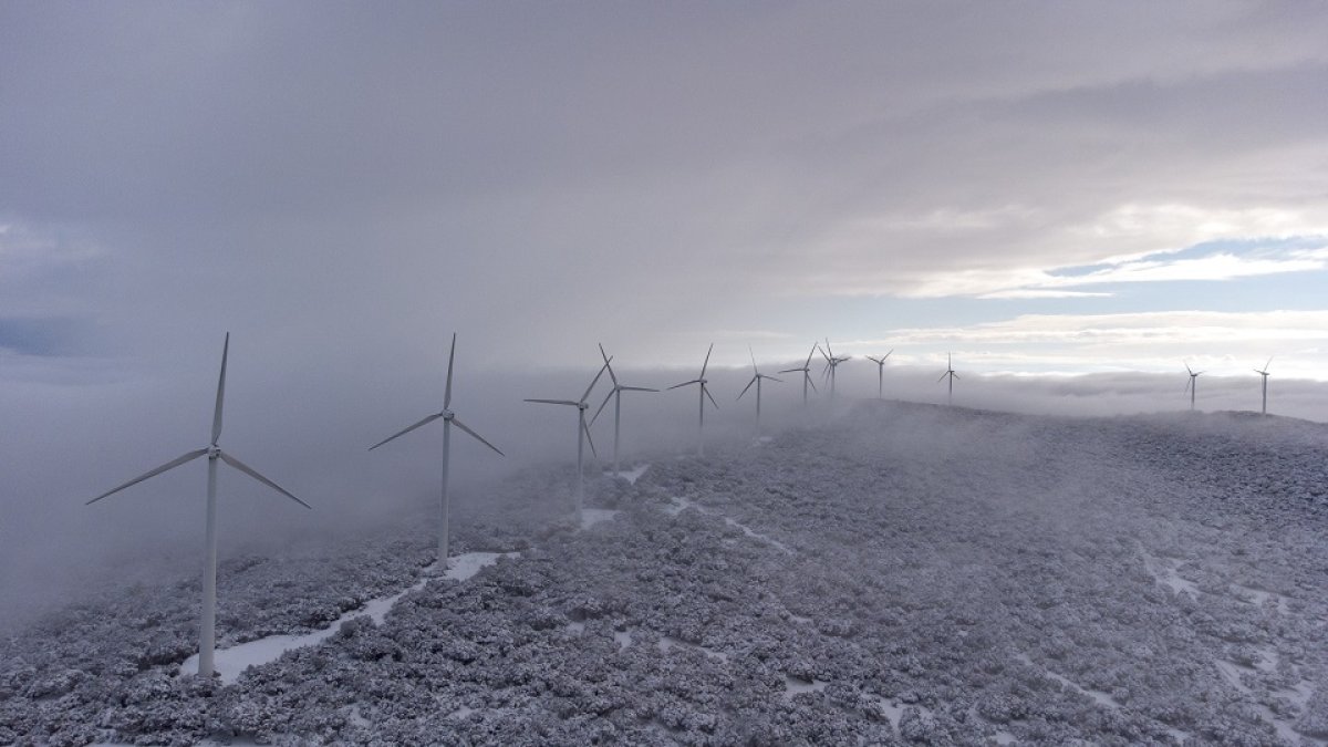 Parque eólico Sierra de Dueña de Iberdrola, enclavado en la dehesa salmantina, cubierto por un manto blanco de nieve. -ICAL