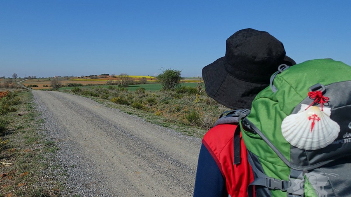 Un peregrino transita, mochila en la espalda, por uno de los caminos de tierra que recorren la provincia de Soria.- TURISMOSORIA