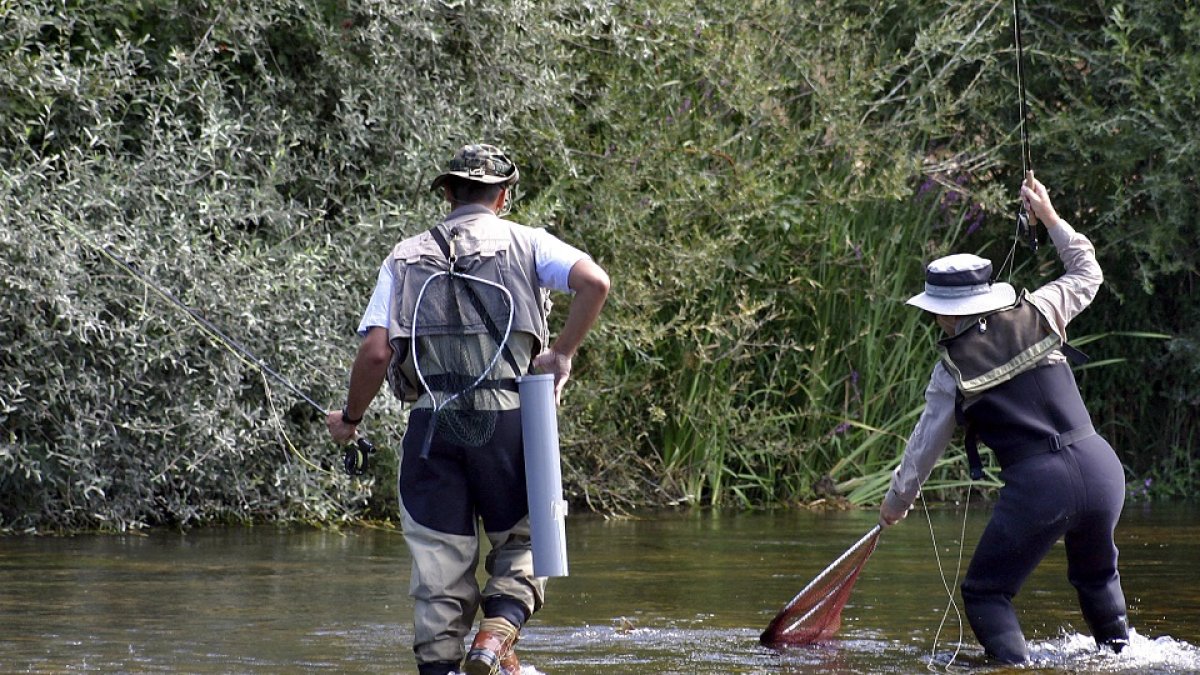 Uno de los participantes en el concurso de pesca del río Órbigo (León) cobra una pieza. ICAL