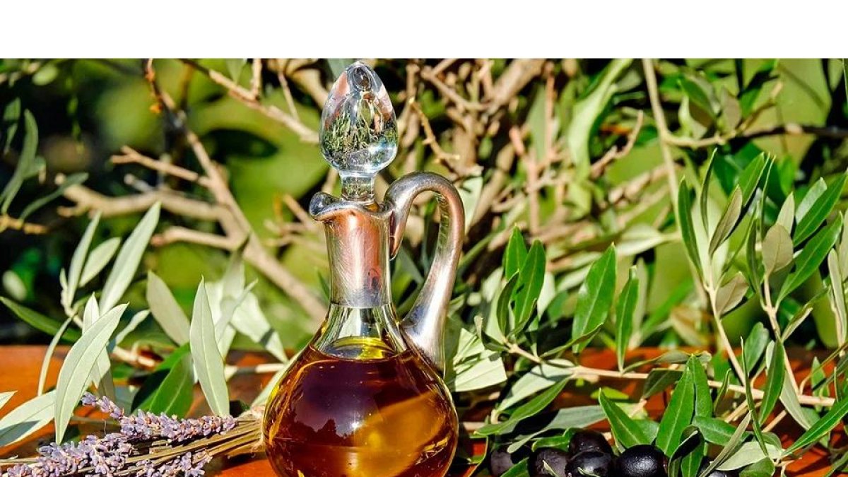 Aceite de oliva de Ávila | E.M.