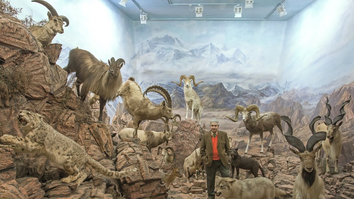 Eduardo Romero, en el interior de una de las salas de su Museo de la Fauna Salvaje.- ARGICOMUNICACIÓN